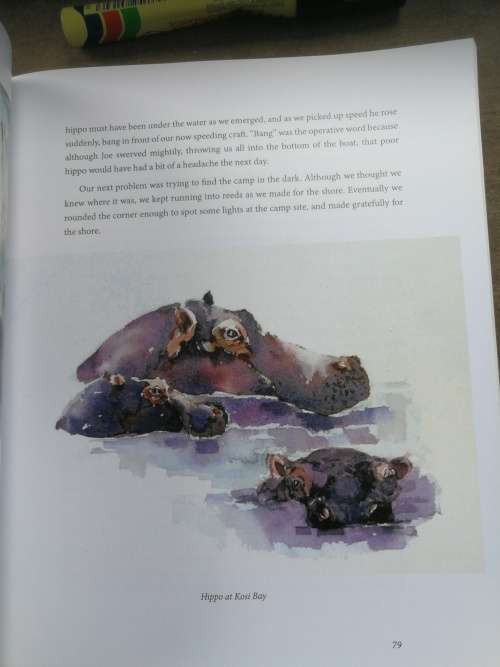 BARBARA SIEDLE BREATHE THE DUST Journey of a Wildlife Artist , Signed with a Gift message