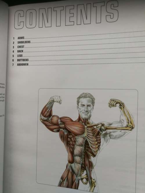 STRENGTH TRAINING ANATOMY FREDERIC DELAVIER  Third Edition ( Fitness Body Muscle Building )