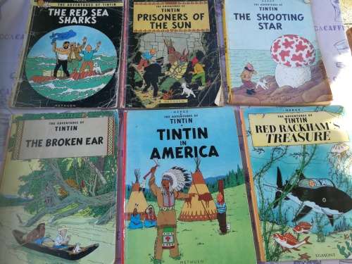 Bundle of 12 TINTIN BOOKS  ( please note the poor condition  - reading copies  with damages )