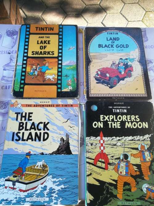 Bundle of 12 TINTIN BOOKS  ( please note the poor condition  - reading copies  with damages )