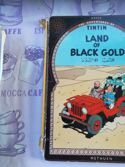 Bundle of 12 TINTIN BOOKS  ( please note the poor condition  - reading copies  with damages )