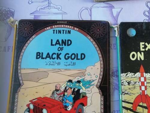 Bundle of 12 TINTIN BOOKS  ( please note the poor condition  - reading copies  with damages )