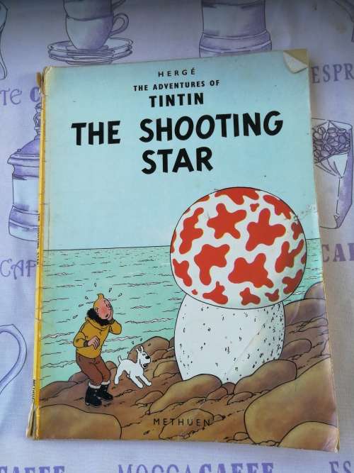 Bundle of 12 TINTIN BOOKS  ( please note the poor condition  - reading copies  with damages )