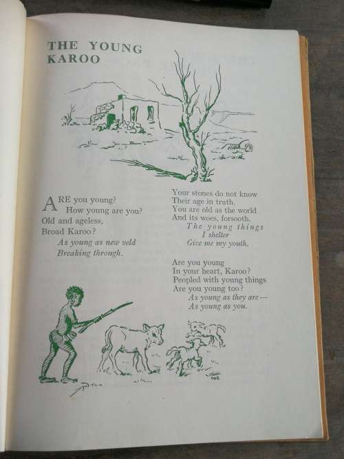 THE YOUNG KAROO SALLY STARKE and DOREEN ROWBOTTOM ` Doe `