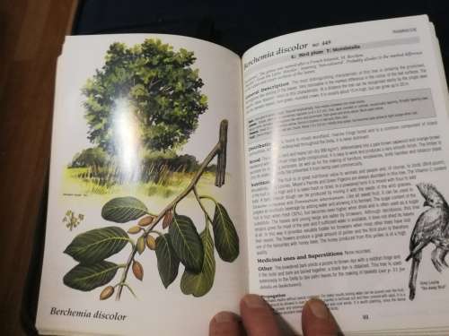 SHELL FIELD GUIDE TO THE COMMON TREES OKAVANGO DELTA & MOREMI GAME RESERVE V ROODT Incl. Medicinal