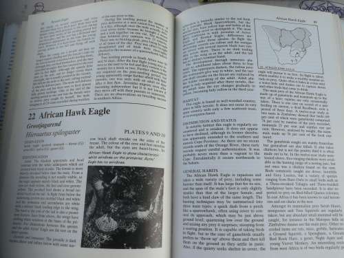 BIRDS OF PREY of SOUTHERN AFRICA Their Identification & Life Histories PETER STEYN SIGNED ( Eagles )