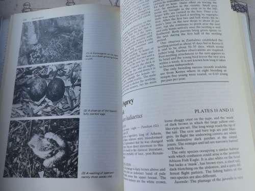 BIRDS OF PREY of SOUTHERN AFRICA Their Identification & Life Histories PETER STEYN SIGNED ( Eagles )