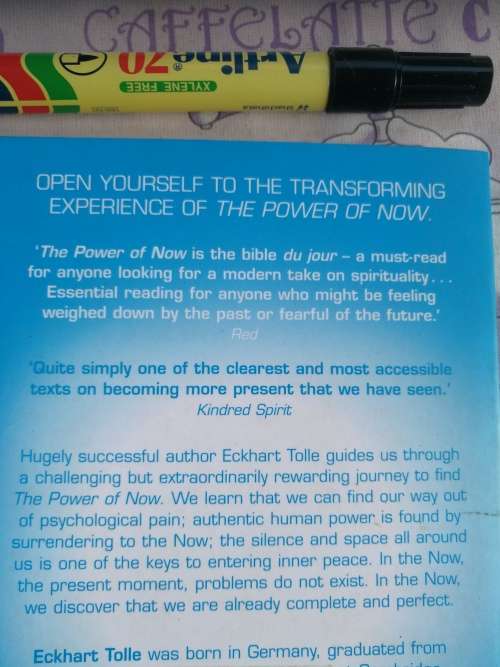 THE POWER OF NOW ECKHART TOLLE A Guide to Spiritual Enlightenment 2 Books inc Practising the POWER o