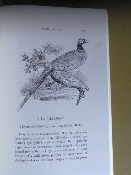 Selections from A HISTORY of BRITISH BIRDS by THOMAS BEWICK