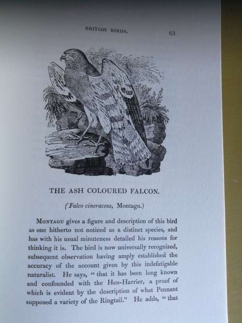 Selections from A HISTORY of BRITISH BIRDS by THOMAS BEWICK