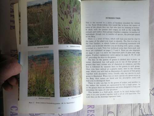 GRASSES SEDGES RESTIADS & RUSHES of the NATAL DRAKENSBERG O M HILLIARD
