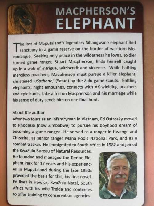 MACPHERSON`S ELEPHANT A Novel of Africa  EDWARD OSTROSKY ( Signed )