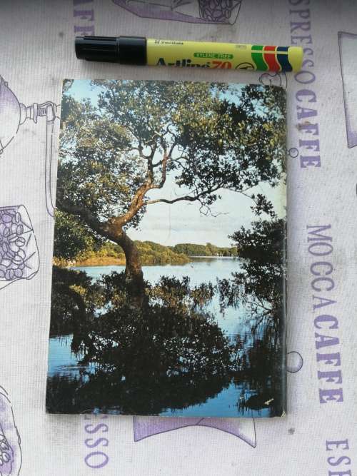 IN THE MANGROVES OF SOUTHERN AFRICA A Wildlife Handbook