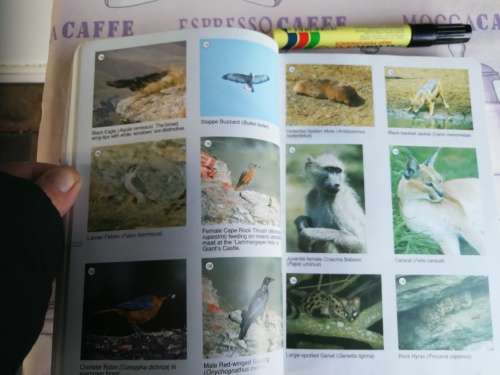A FIELD GUIDE TO THE NATAL DRAKENSBERG Dave and Pat IRWIN Fully Revised Second Edition Signed