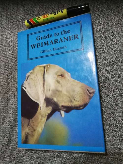 GUIDE TO THE WEIMARANER GILLIAN BURGOIN ( Dogs )