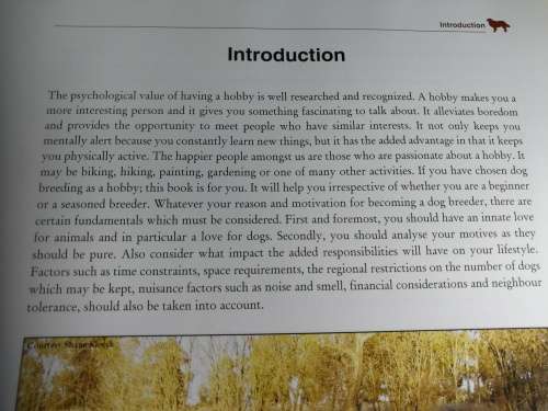 BREEDING IS A BITCH Reference book on dog breeding KGM de Cramer ( dogs )