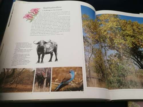 BUSHVELD TREES Lifeblood of the Transvaal Lowveld MALCOLM FUNSTON signed