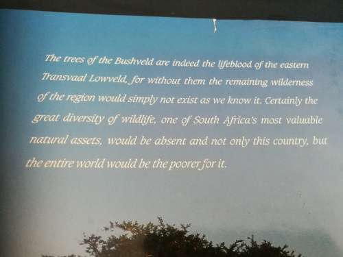 BUSHVELD TREES Lifeblood of the Transvaal Lowveld MALCOLM FUNSTON signed