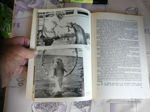 THEY CAME FROM THE SEA The Story of Port Elizabeth`s Dolphins MURIEL ROSE First Edition 1968