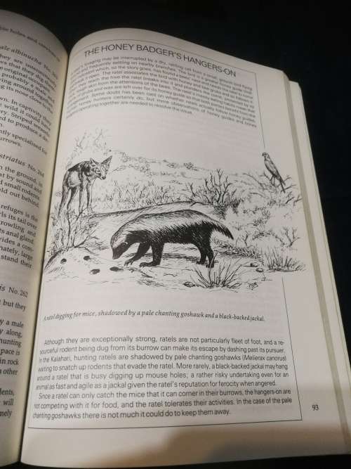 WILD WAYS PETER APPS Field Guide to the Behaviour of Southern African Mammals