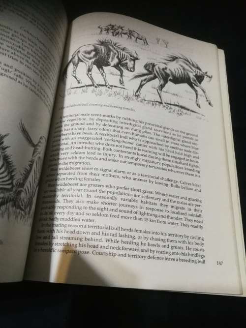 WILD WAYS PETER APPS Field Guide to the Behaviour of Southern African Mammals