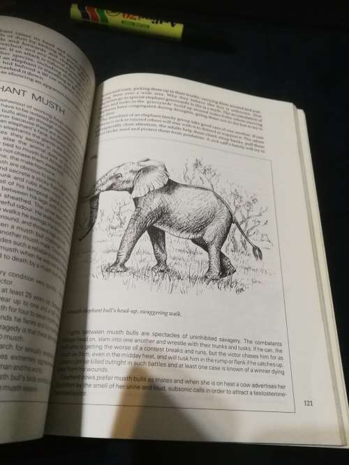 WILD WAYS PETER APPS Field Guide to the Behaviour of Southern African Mammals