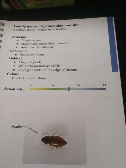 Aquatic Invertebrates Of South African Rivers - Field Guide By A Gerber and MJM Gabriel