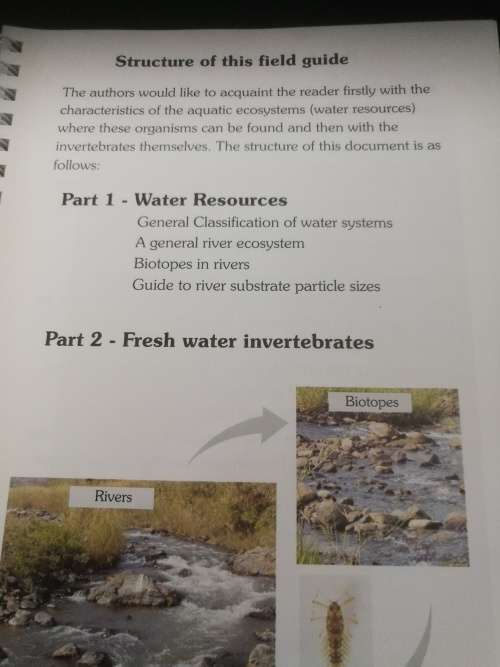 Aquatic Invertebrates Of South African Rivers - Field Guide By A Gerber and MJM Gabriel