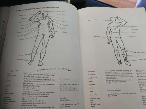 KARATE The Art of Empty Hand Fighting HIDETAKA NISHIYAMA and RICHARD C BROWN (  hardcover )