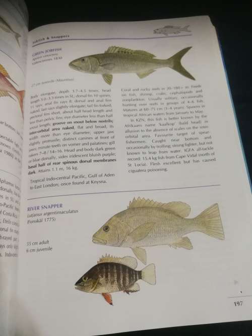 COASTAL FISHES OF SOUTHERN AFRICA PHIL and ELAINE HEEMSTRA  (Seawater Fish species )