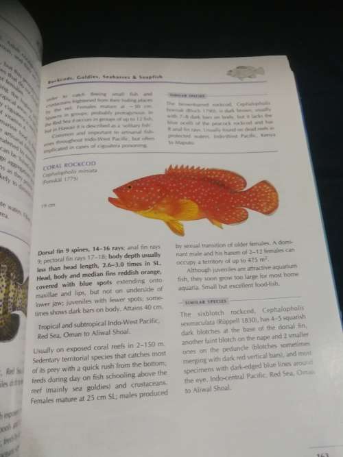 COASTAL FISHES OF SOUTHERN AFRICA PHIL and ELAINE HEEMSTRA  (Seawater Fish species )