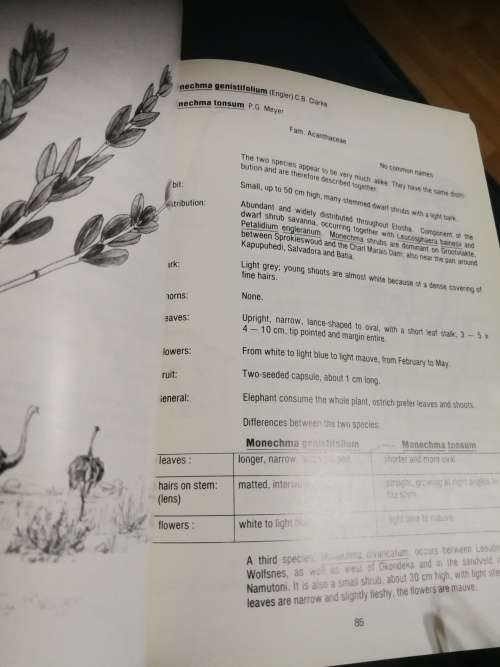 SKRYF AFRIKAANS van A tot Z PHAROS Die essensiele gids vir taalgebruikers  DALENE MULLER