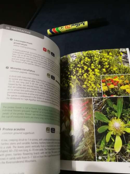 Field Guide to the Flora of GROOTBOS NATURE RESERVE  Sean Privett and Heiner Lutzeyer Southern Cape