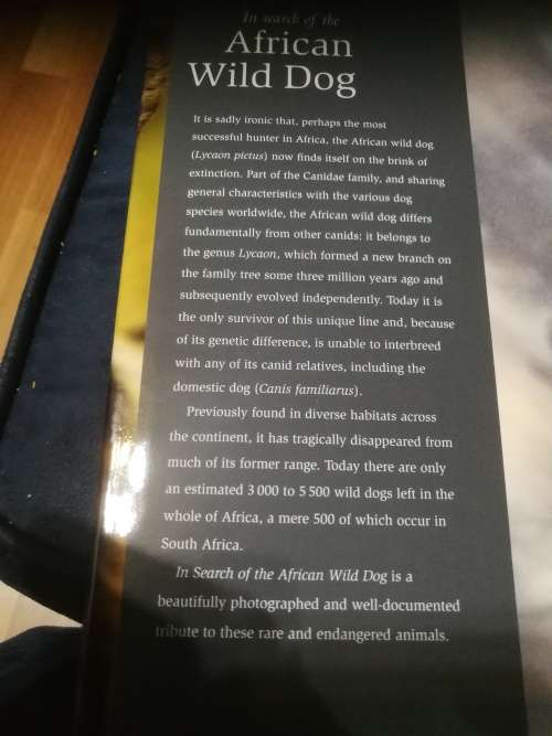 Signed by both Authors IN SEARCH OF THE AFRICAN WILD DOG ROGER and PAT DE LA HARPE  signed