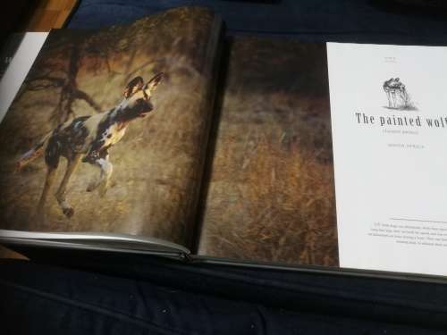 Signed by both Authors IN SEARCH OF THE AFRICAN WILD DOG ROGER and PAT DE LA HARPE  signed