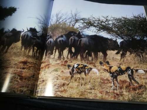 Signed by both Authors IN SEARCH OF THE AFRICAN WILD DOG ROGER and PAT DE LA HARPE  signed