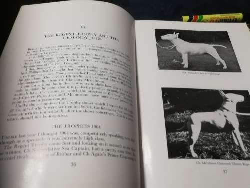 AFTER BAR SINISTER by R H OPPENHEIMER  ( Bull Terrier Show Dogs Bull Terriers    )