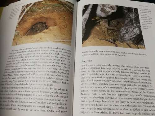 Larger CARNIVORES of the AFRICA SAVANNAS J du P BOTHMA CLIVE WALKER ( South African Wildlife )