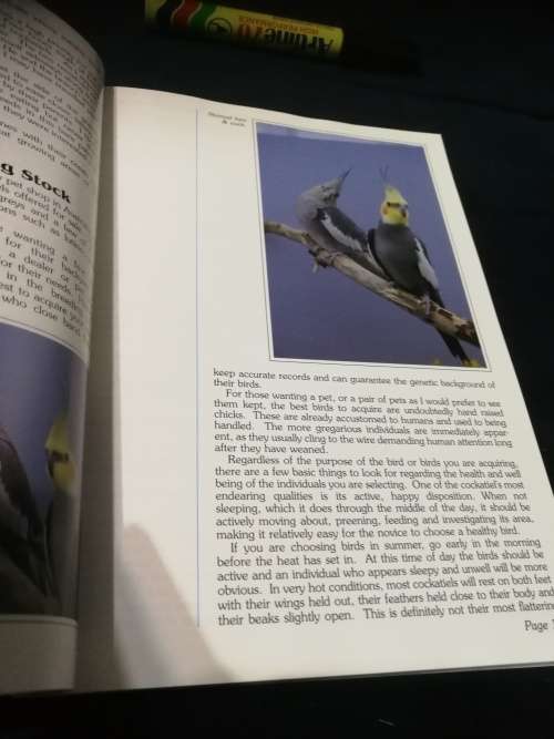 A GUIDE TO COCKATIELS AND THEIR MUTATIONS THEIR MANAGEMENT CARE and BREEDING Parrots PEGGY CROSS