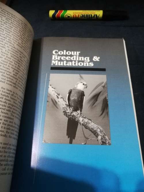 A GUIDE TO COCKATIELS AND THEIR MUTATIONS THEIR MANAGEMENT CARE and BREEDING Parrots PEGGY CROSS