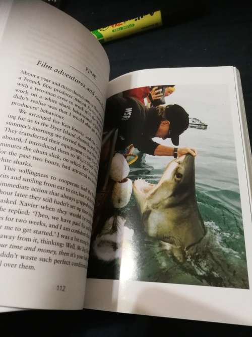 SHARK MAN THEO FERREIRA My Obsession with the Great White Shark