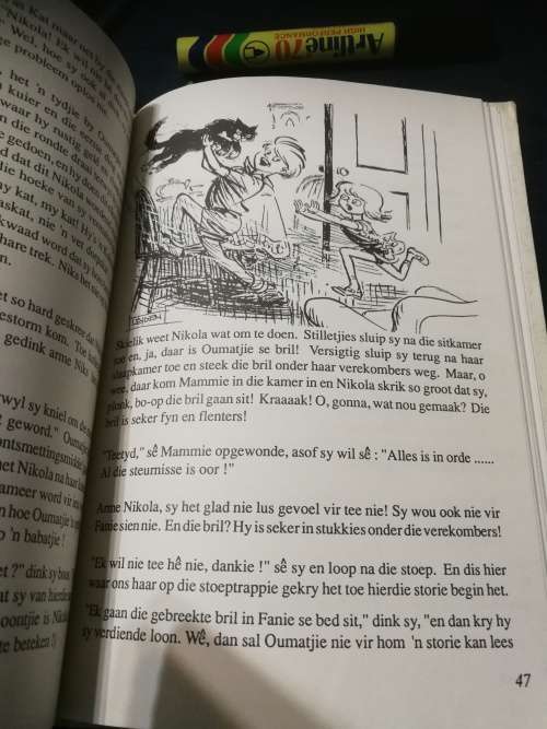 NIKOLA EN DIE KAT WAT VERDWYN geskryf deur MARY HUDSON