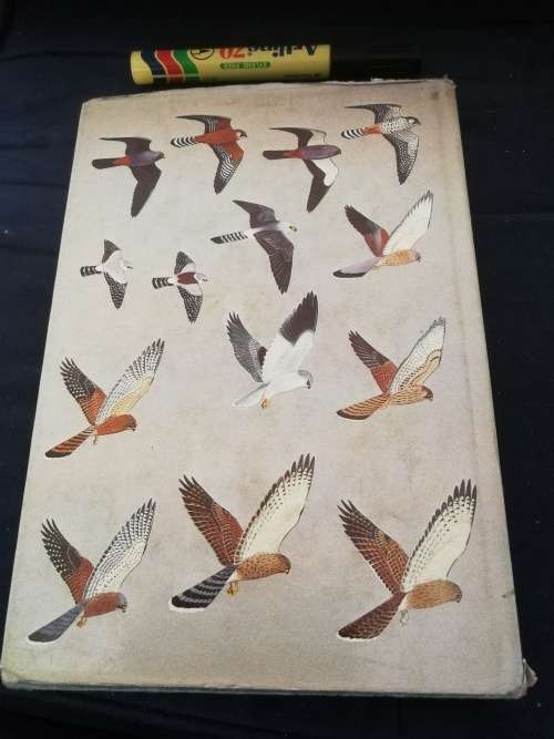 BIRDS OF PREY of SOUTHERN AFRICA Their Identification & Life Histories PETER STEYN SIGNED ( Eagles )