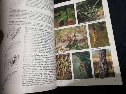 Hardcover THE COMPLETE FIELD GUIDE TO TREES  OF NATAL ZULULAND and TRANSKEI ELSA POOLEY