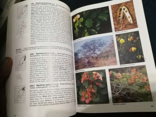 Hardcover THE COMPLETE FIELD GUIDE TO TREES  OF NATAL ZULULAND and TRANSKEI ELSA POOLEY