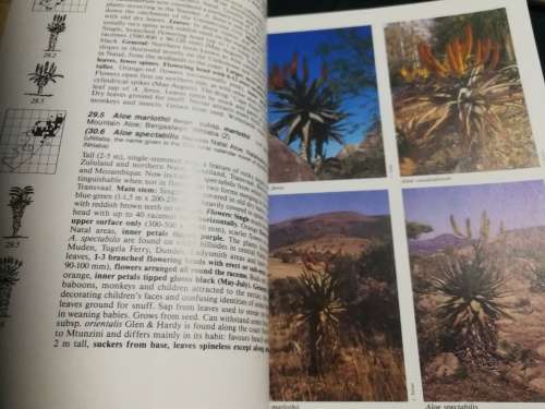 Hardcover THE COMPLETE FIELD GUIDE TO TREES  OF NATAL ZULULAND and TRANSKEI ELSA POOLEY