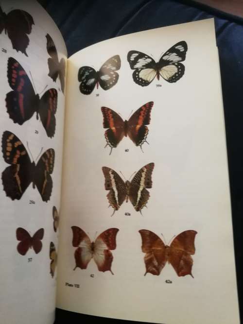 BUTTERFLIES OF RHODESIA RICHARD COOPER ( A Bundu book )