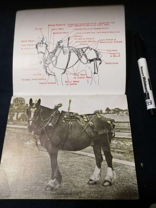 ALL ABOUT HORSE BRASSES by H S RICHARDS A Collectors Complete Guide ( horses )