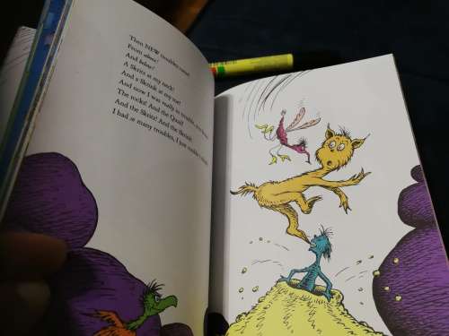 THE ONE AND ONLY Dr SEUSS Dr Seuss THREE Books in ONE including THE LORAX and 2 other Stories