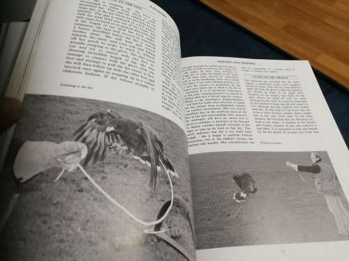 FALCONRY EMMA FORD Art and Practice Revised Edition